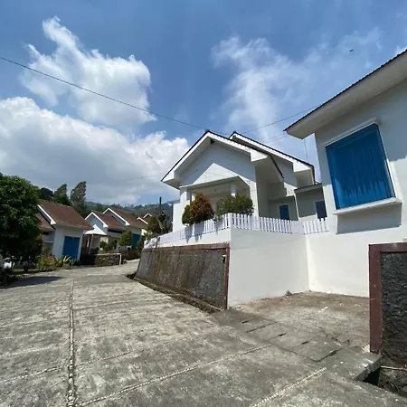 Villa Bromo Potato 2-3